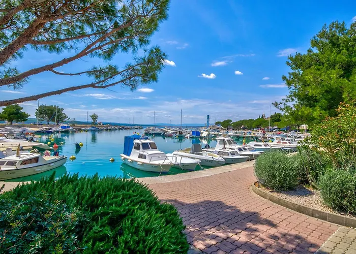 Dana * Grizane-Belgrad